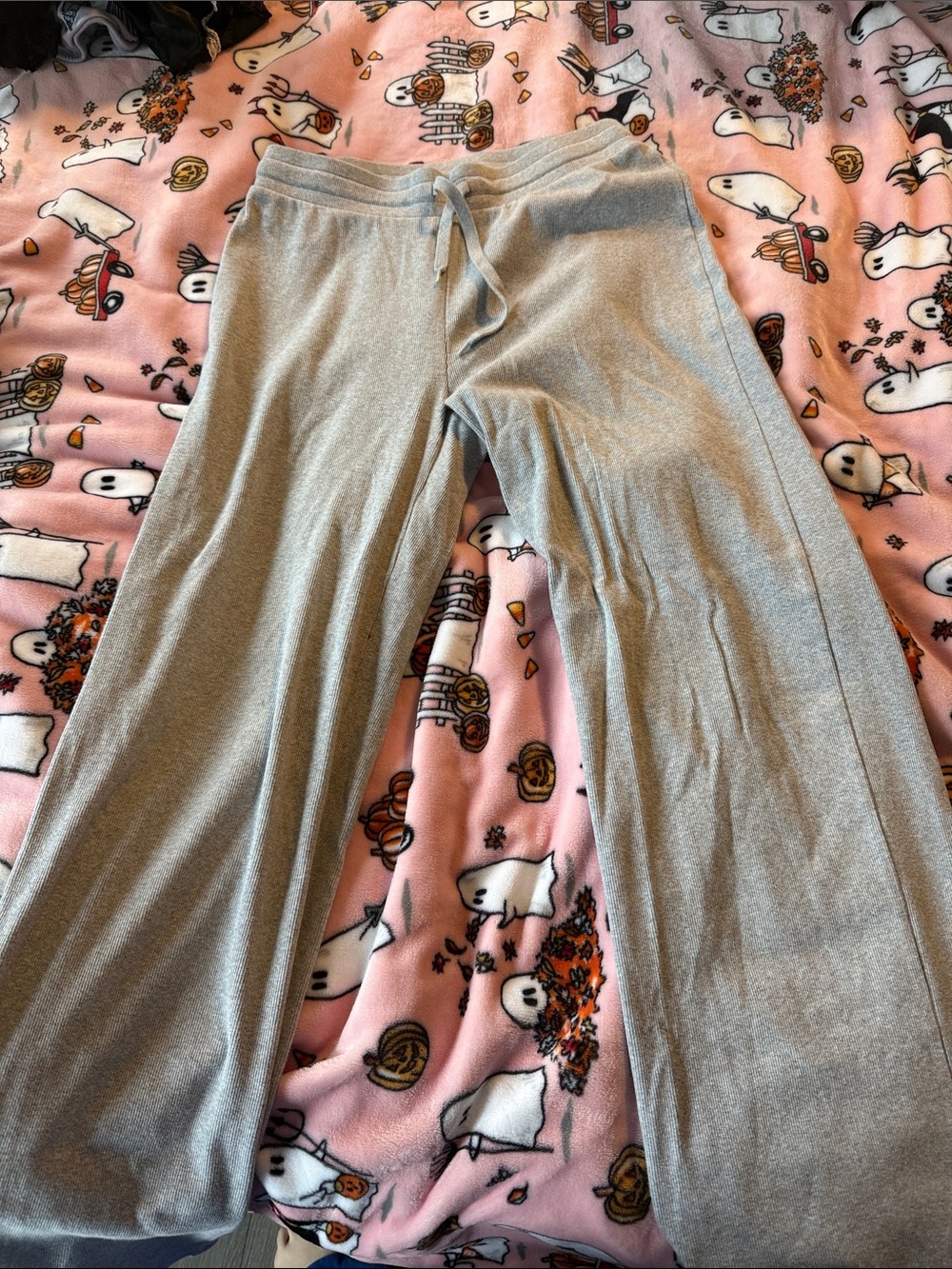 Grey Aritzia Lounge Pants